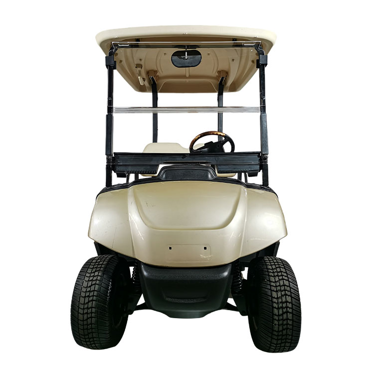 Carrello da golf elettrico a 2 posti