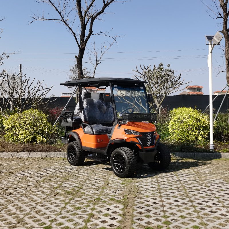 Veicolo da caccia elettrica a 2 posti con batteria al litio
