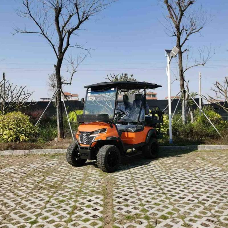 Veicolo da caccia elettrico a 2 posti con batteria al litio