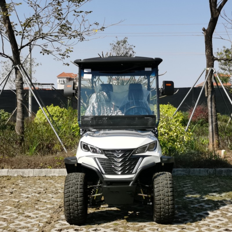 4+2 posti Electric Electric Sollevated Veicolo con batteria al litio