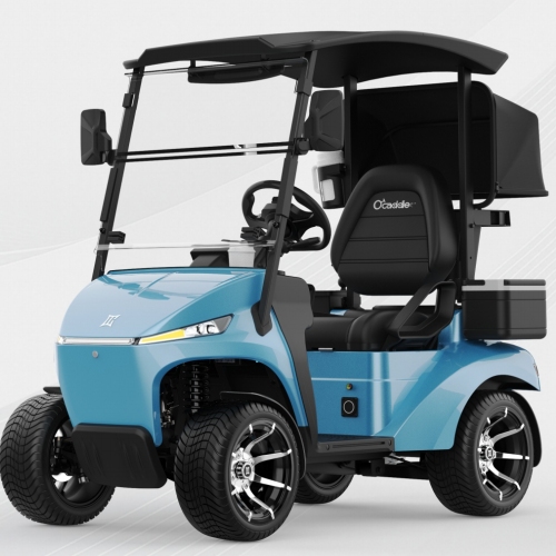 Veicolo multifunzionale compatto omologato per la strada con batteria al litio da 48 V - carrello da golf elettrico monoposto