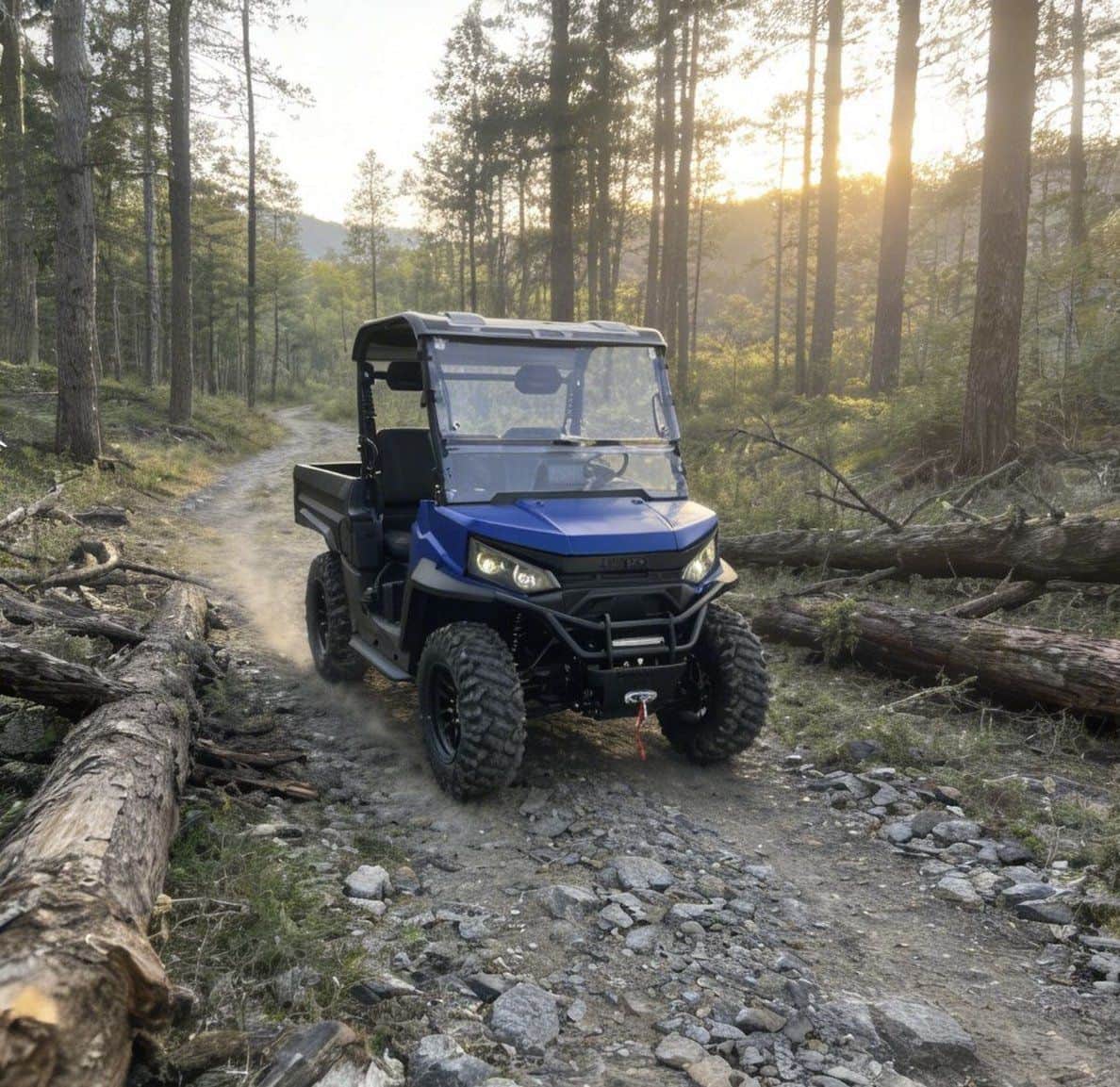 Controller elettrico 4WD Ranch UTV Farm 73,6 V 150 Ah 20 kW di picco
