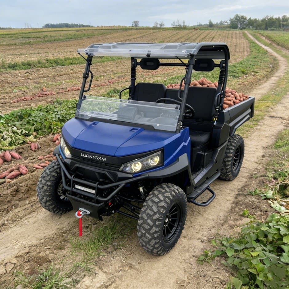 Motore CA 73,6 V 4WD UTV 10 kW Sterzo EPS Batteria da 150 Ah