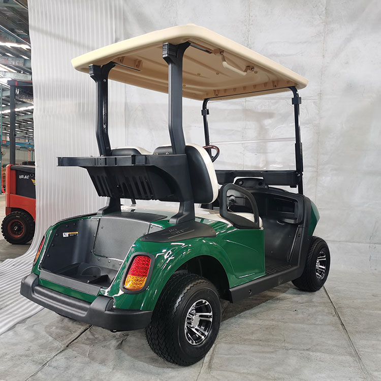Carrello da golf elettrico multicolore a 2 posti, dotato di batteria al litio